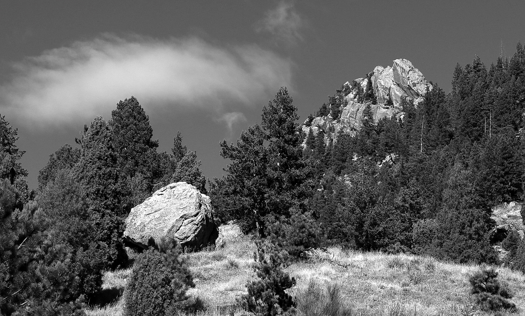 Digital B n W In Class A By John Garvin For Natures Best NOV-2019.jpg